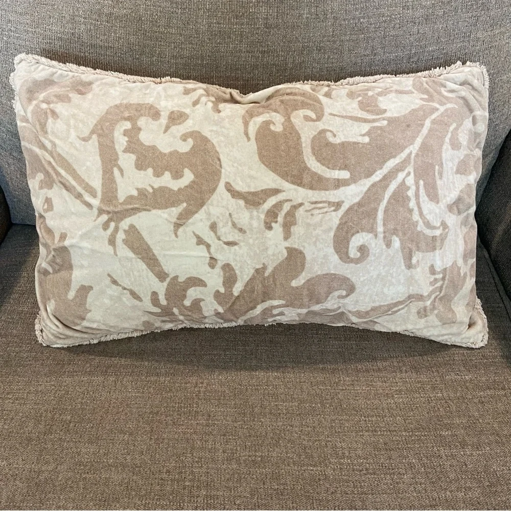 Pottery Barn Pillow case